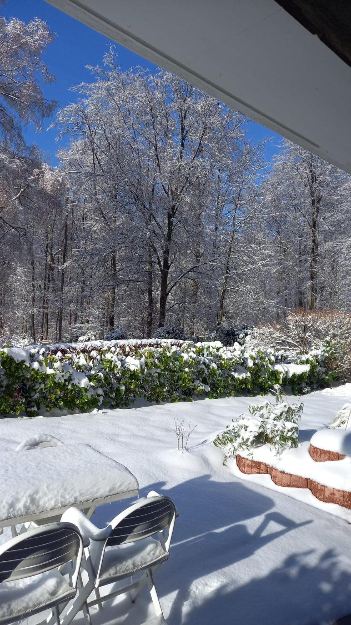 Haus Am Wald Apartment Hillscheid Екстериор снимка