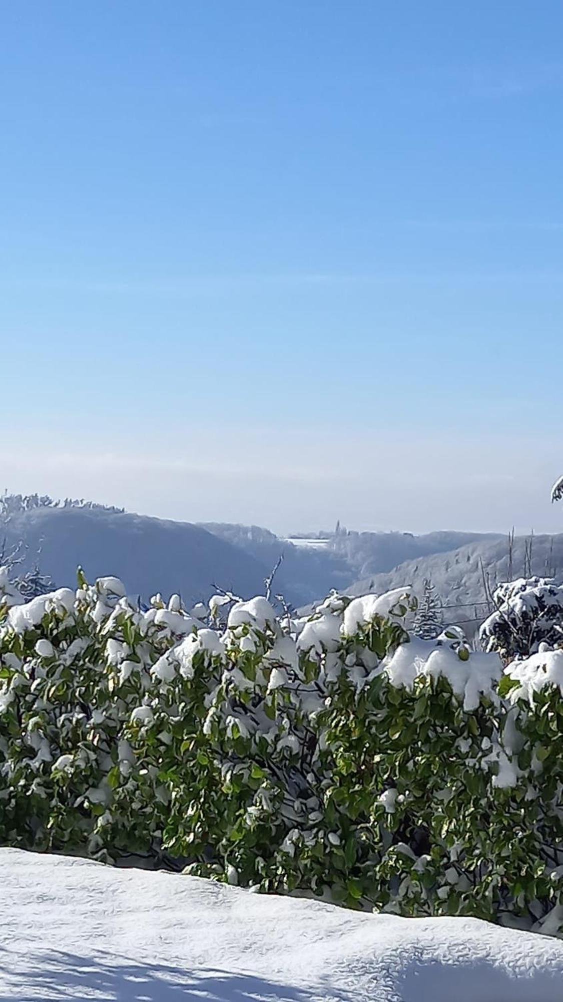 Haus Am Wald Apartment Hillscheid Екстериор снимка