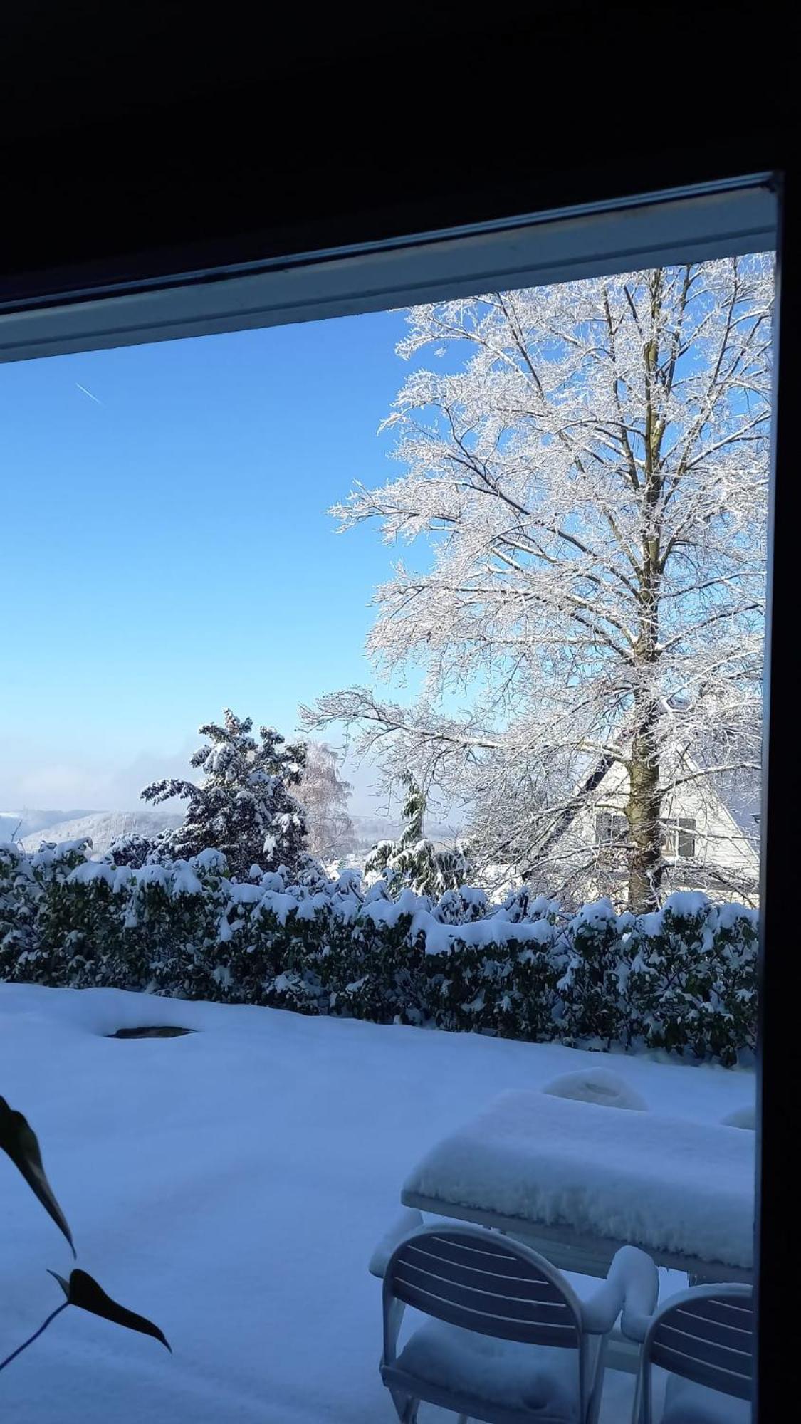 Haus Am Wald Apartment Hillscheid Екстериор снимка