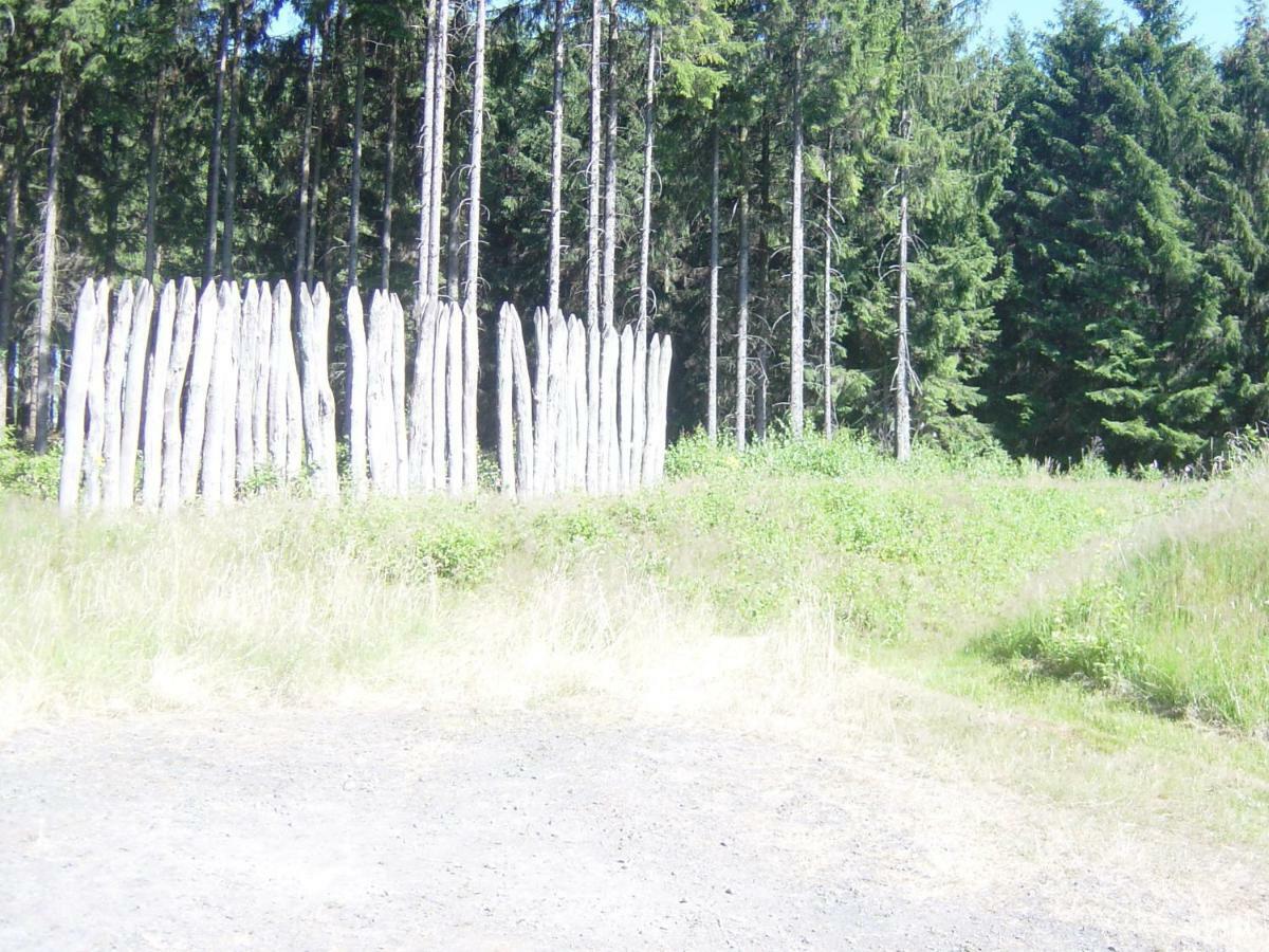 Haus Am Wald Apartment Hillscheid Екстериор снимка